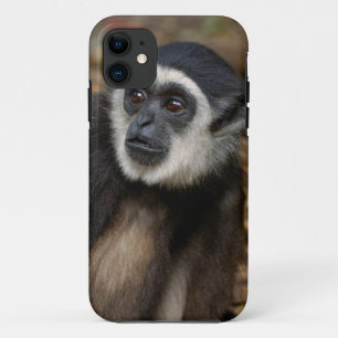 Weißhandgeschmack (Hylobates Lar), Monkeyland Case-Mate iPhone Hülle