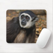 Weißhandgeschmack (Hylobates Lar), Monkeyland Mousepad (Mit Mouse)