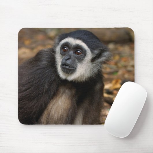 Weißhandgeschmack (Hylobates Lar), Monkeyland Mousepad (Mit Mouse)