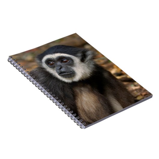 Weißhandgeschmack (Hylobates Lar), Monkeyland Notizblock (Rechte Seite)