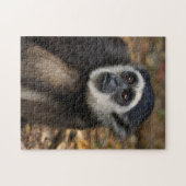 Weißhandgeschmack (Hylobates Lar), Monkeyland Puzzle (Horizontal)