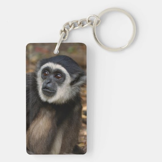 Weißhandgeschmack (Hylobates Lar), Monkeyland Schlüsselanhänger (Rückseite)
