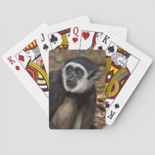 Weißhandgeschmack (Hylobates Lar), Monkeyland Spielkarten
