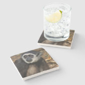 Weißhandgeschmack (Hylobates Lar), Monkeyland Steinuntersetzer (Seitenansicht)