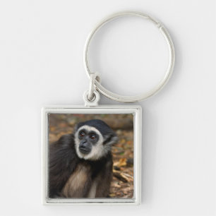 Weißhandgibbon (Hylobates Lar), Monkeyland Schlüsselanhänger