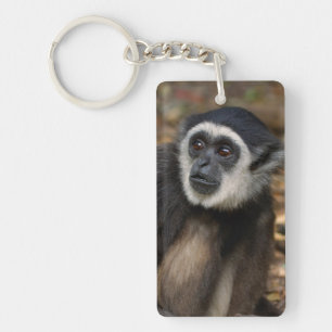 Weißhandgibbon (Hylobates Lar), Monkeyland Schlüsselanhänger