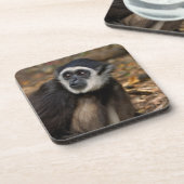 Weißhandgibbon (Hylobates Lar), Monkeyland Untersetzer (Linke Seite)