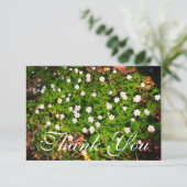 Weißholz Anemone Frühlingsblumen Dankeskarte (Stehend Vorderseite)