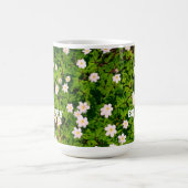 Weißholz Anemone Frühlingsblumen glücklich sein Kaffeetasse (Mittel)