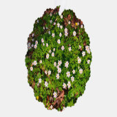 Weißholz Anemone Frühlingsblumen Ornament Karte (Rechts)