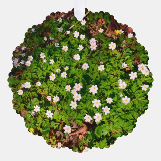 Weißholz Anemone Frühlingsblumen Ornament Karte (Vorderseite)