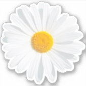 Weißkäfer Aufkleber (Vorderseite)