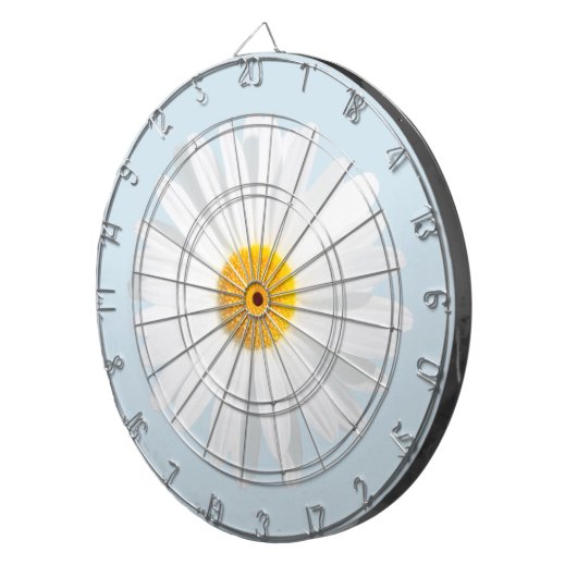 Weißkäfer Dartscheibe (Vorderseite rechts)
