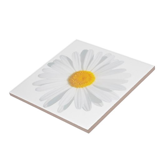 Weißkäfer Fliese (Seite)