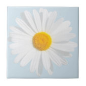 Weißkäfer Fliese (Vorderseite)