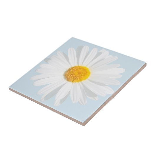 Weißkäfer Fliese (Seite)