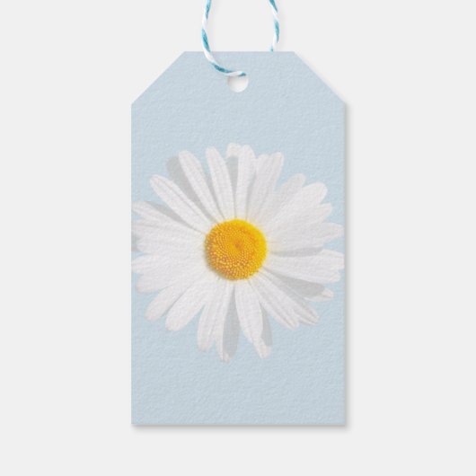 Weißkäfer Geschenkanhänger (Rückseite)