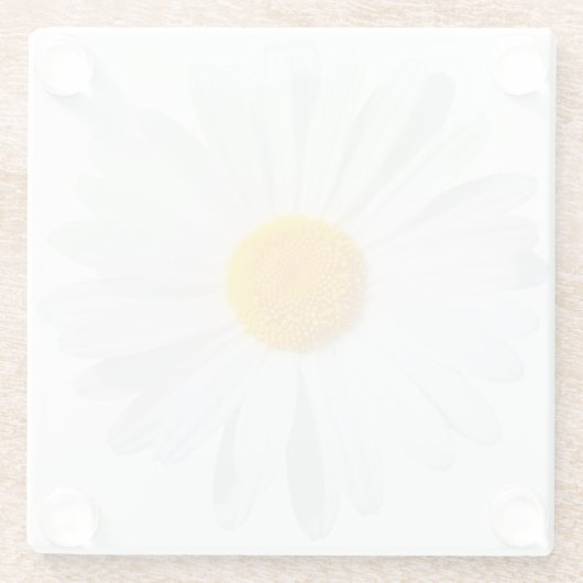 Weißkäfer Glasuntersetzer (Rückseite)