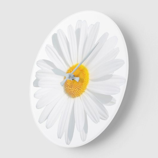 Weißkäfer Große Wanduhr (Winkel)