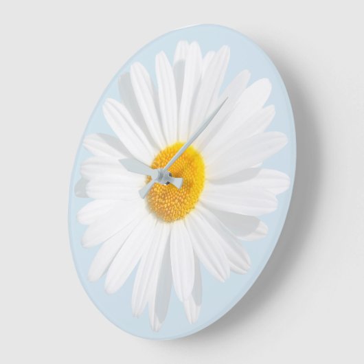 Weißkäfer Große Wanduhr (Winkel)