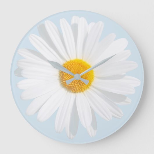 Weißkäfer Große Wanduhr (Vorderseite)