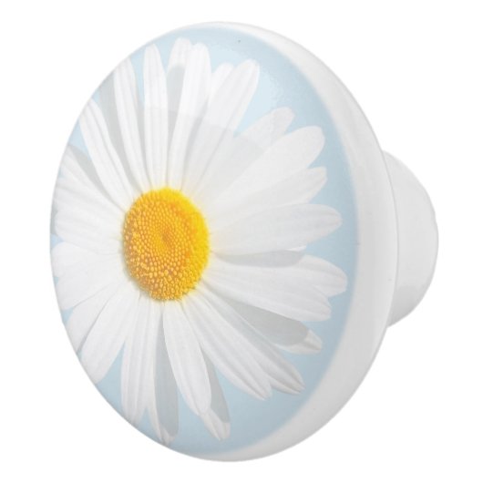 Weißkäfer Keramikknauf (Rechts)