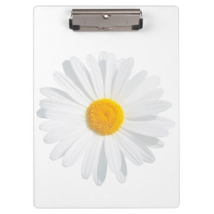 Weißkäfer Klemmbrett