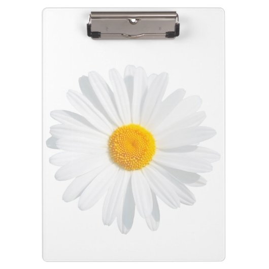 Weißkäfer Klemmbrett (Vorderseite)