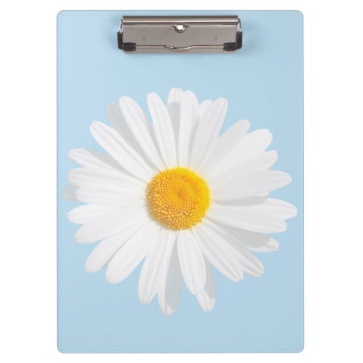 Weißkäfer Klemmbrett (Vorderseite)