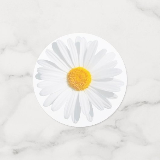 Weißkäfer Konfetti (Klein Vorderseite)