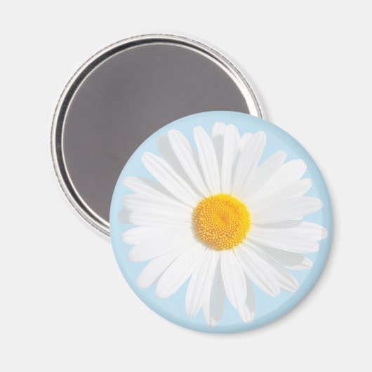 Weißkäfer Magnet (Vorderseite/Rückseite)