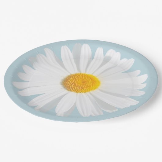 Weißkäfer Pappteller (Schrägansicht)