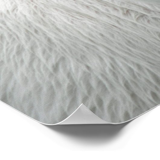 Weißkalb Poster (Ecke)