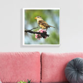 Weißkappenammer Leinwanddruck (Insitu (Wohnzimmer))