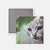 Weißkatze Magnet (Vorderseite/Rückseite)