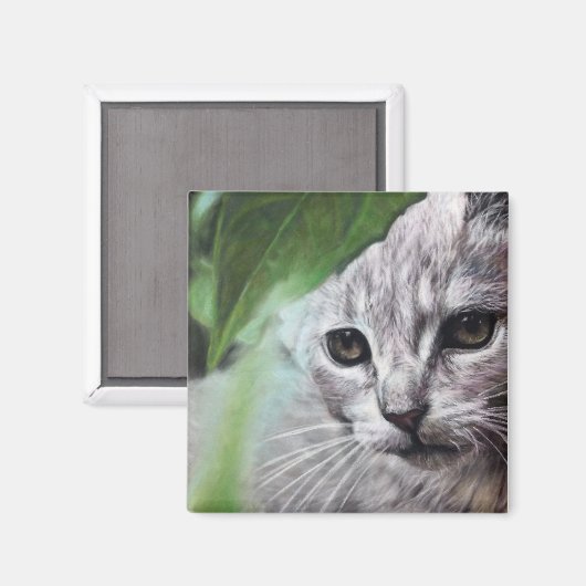 Weißkatze Magnet (Vorderseite/Rückseite)