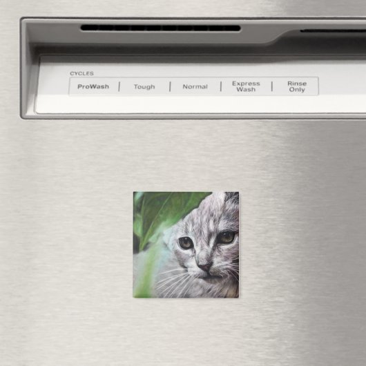 Weißkatze Magnet (In Situ (Geschirrspüler))