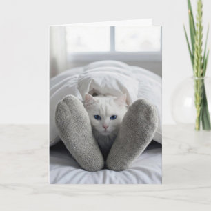 Weißkatze zum Geburtstag unter einer Decke Karte