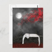 Weißkatzenkatze Postkarte (Vorne/Hinten)