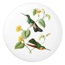 Weißkehl-Bergjuwel-Kolibri
