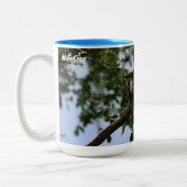 Weißkehl-Eisvogel Blaue Tasse - Vogel auf Baum (Links)