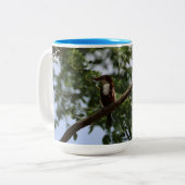 Weißkehl-Eisvogel Blaue Tasse - Vogel auf Baum (Vorderseite Links)