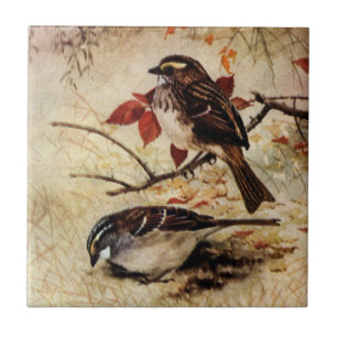 Weißkehlammern und Herbstlaub Fliese
