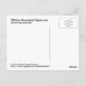 Weißkehlspeckenkarte Postkarte (Rückseite)