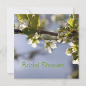 Weißkirschblütenzweig-Brautparty Einladung (Rückseite)