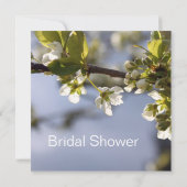 Weißkirschblütenzweig-Brautparty Einladung (Rückseite)