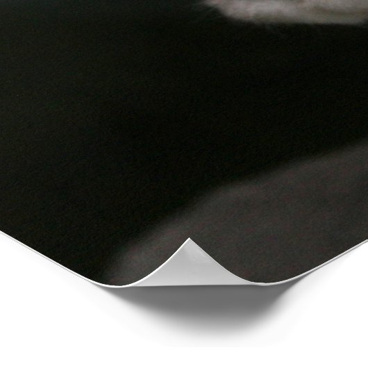 Weißkitt Poster (Ecke)