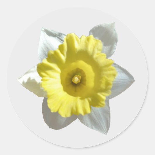 Weißkleber Runder Aufkleber (Vorderseite)