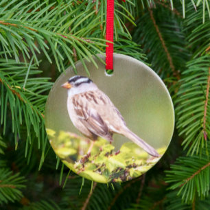 Weißkopf-Sperling-Feiertagsgeschenk Keramik Ornament