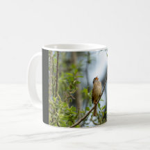 Weißkopfammer – Fine Art Vogel Fotografie